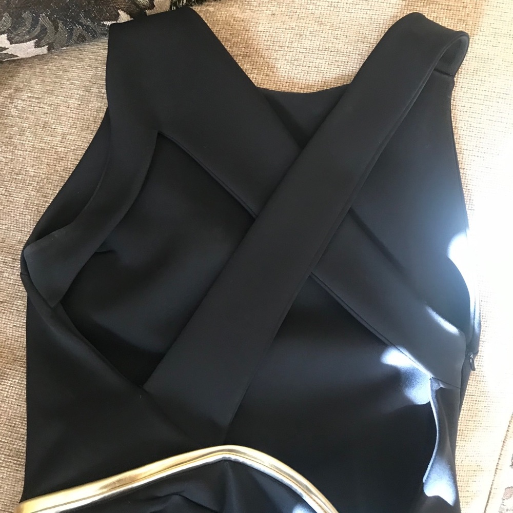 Alexandre Vauthier - Picture 6 of 7
